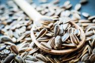 Prednosti i štete suncokretovih sjemenki