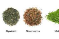 Ako správne variť zelený čaj?