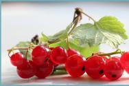 What can you make from red currants?