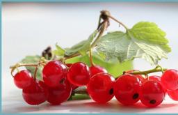 What can you make from red currants?