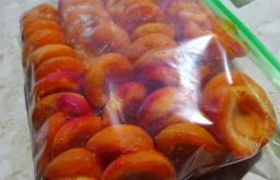 Гэрийн чангаанзтай зайрмаг Apricot зайрмагны жор