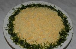 Jednostavna i ukusna Praška salata za svečani stol - sastojci i detaljni recepti s fotografijama Praška lisnata salata